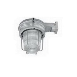 MLWL503G1NMT-Appleton-Light Fixtures