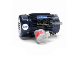 143TTGN16539