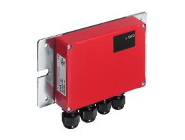 50031256