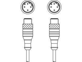 50106905