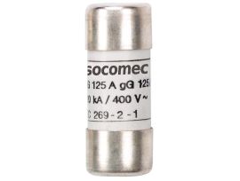 60220032
