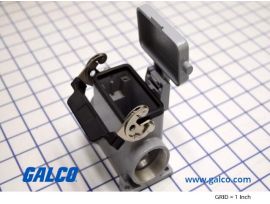 CAP-10LS29