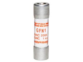 GFN1