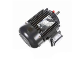 GT1004