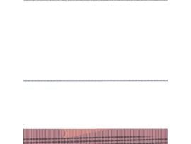 NP2424C