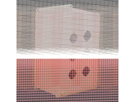 PBXD1
