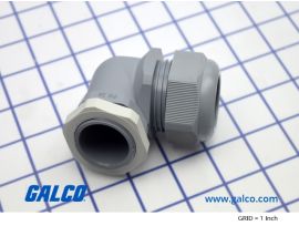 PCGA-29