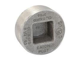 PLG2