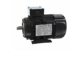 R373A