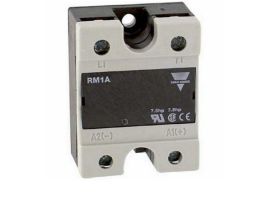RM1A48A100