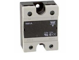 RM1A48A100