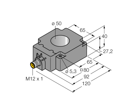 BI50R-Q80-2LU-H1141/S950
