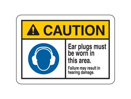 144291