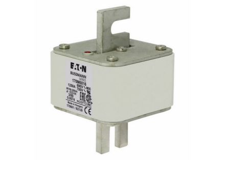170M6016