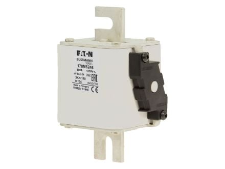 170M6246