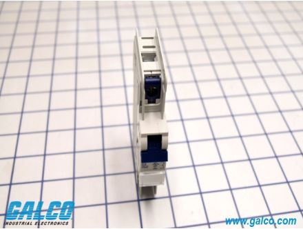 1C2DL
