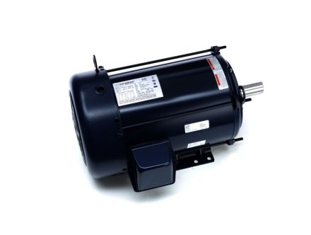 215TTFW16081