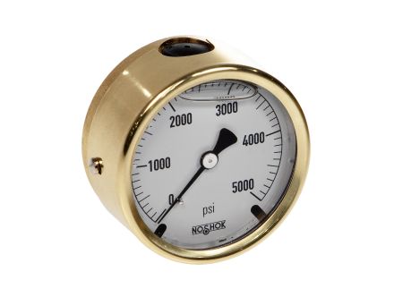 25-310-SST-5000-PSI