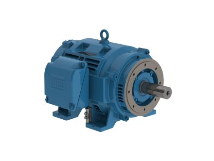 30036OT3G445TSC-RFW4