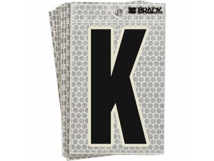 3010-K