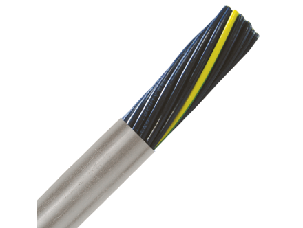 602025