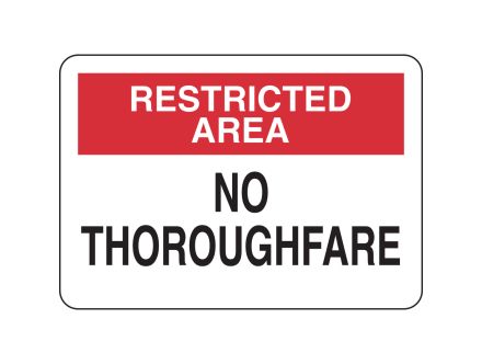 84181