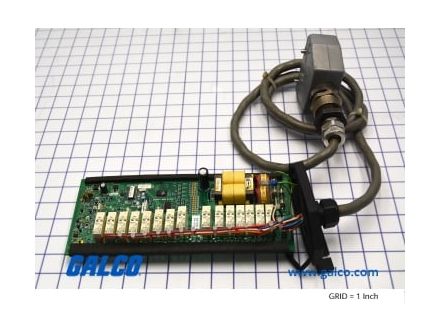 90096406
