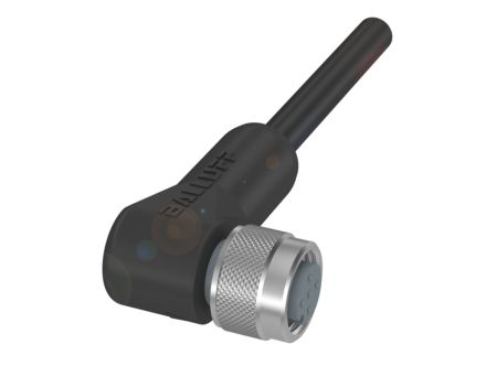 BCC031L