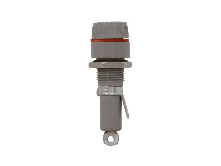 BK/FHN31G1