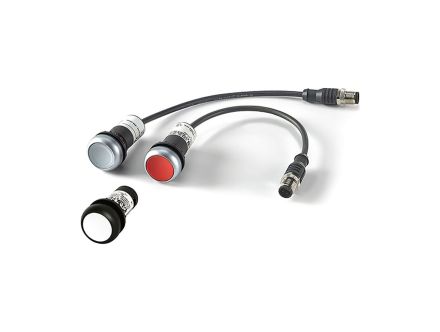 C22-D-G-K10-P62