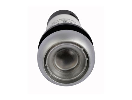 C22-D-X-K10