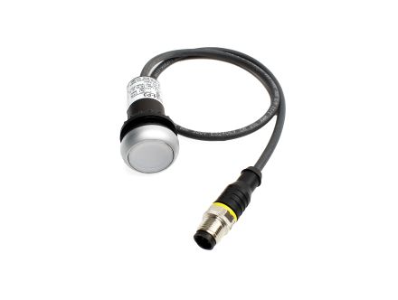 C22-DL-W-K10-24-P3