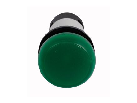 C22-L-G-24