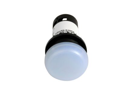 C22-L-W-120