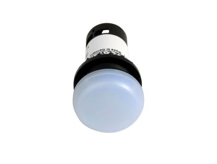 C22-L-W-24