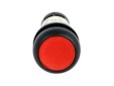 C22S-DRL-R-K01-24