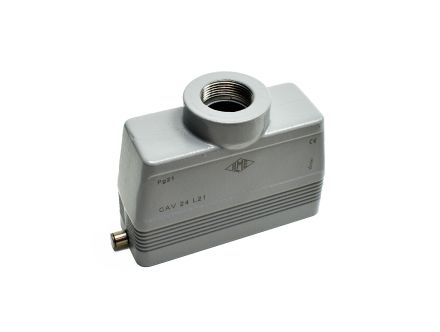 CAV-24L21