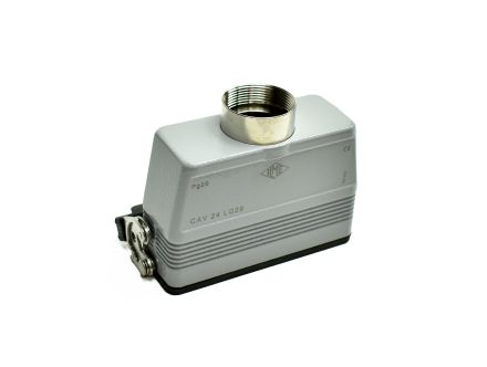 CAV-24LG29