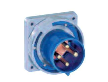 CD420B5W