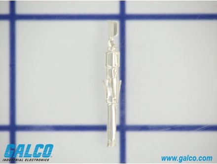 CE01-#16S-2024-100