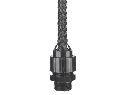 CG810NM