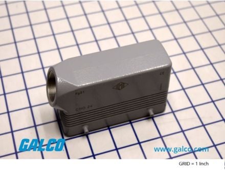CHO-24