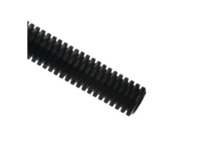 CTP10