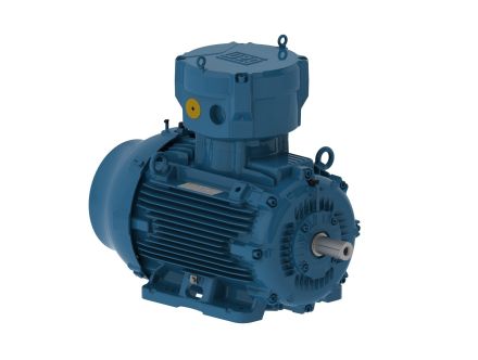 E20036XP3YAX355MLF3W