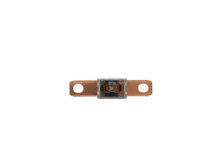 FLB-100