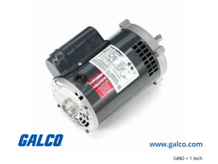 G238A