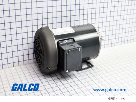 G347A