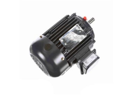 GT1004