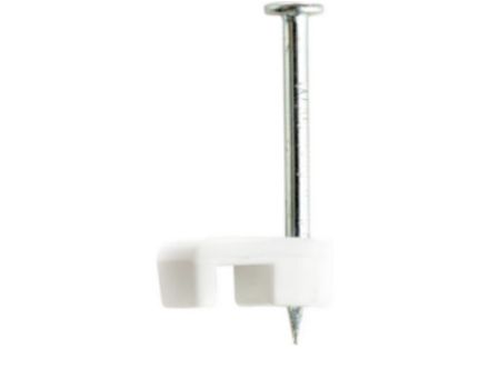 IBT251W