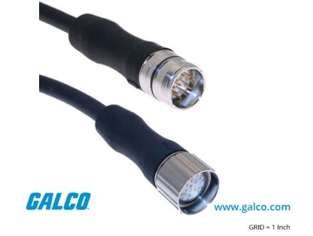 MCVP-19MMFP-2M